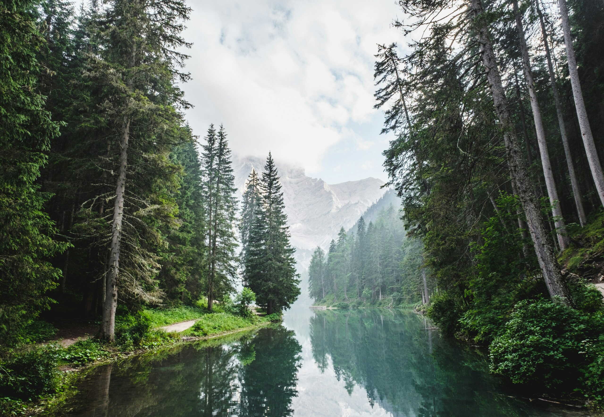 Saint Lawrence River Trees Mountain