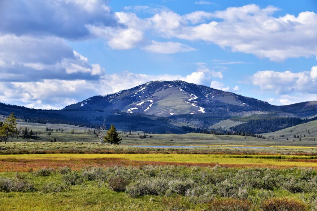 yellowstone national park