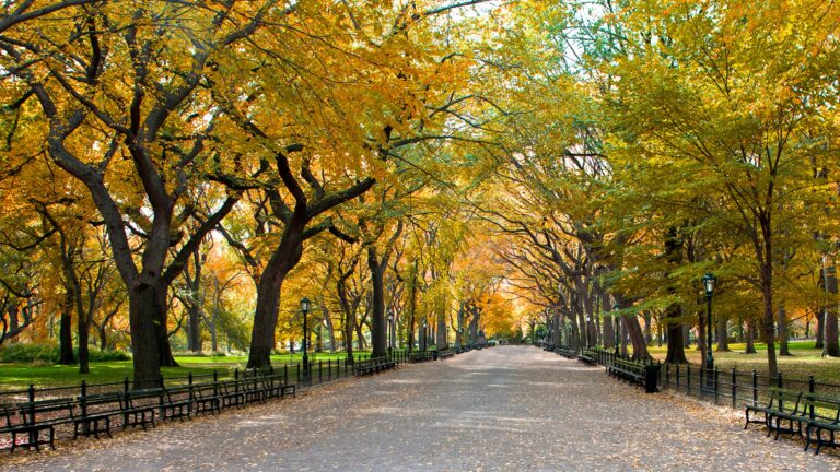 8 Beautiful Sights To See In Central Park