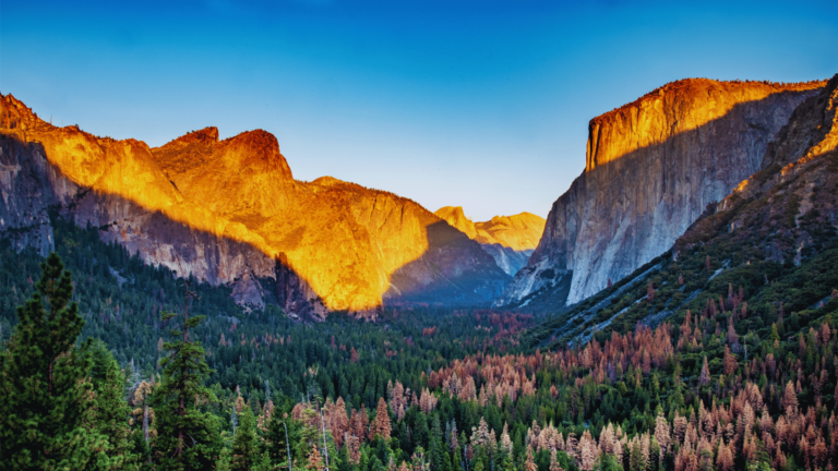 Yosemite National Park