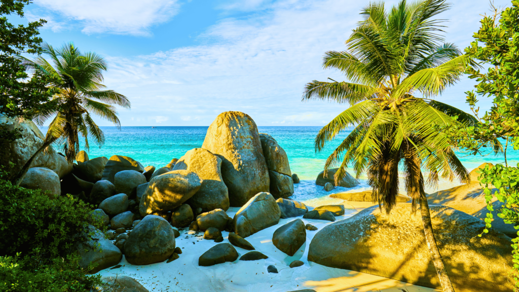 seychelles rocks coconut trees blue sky water