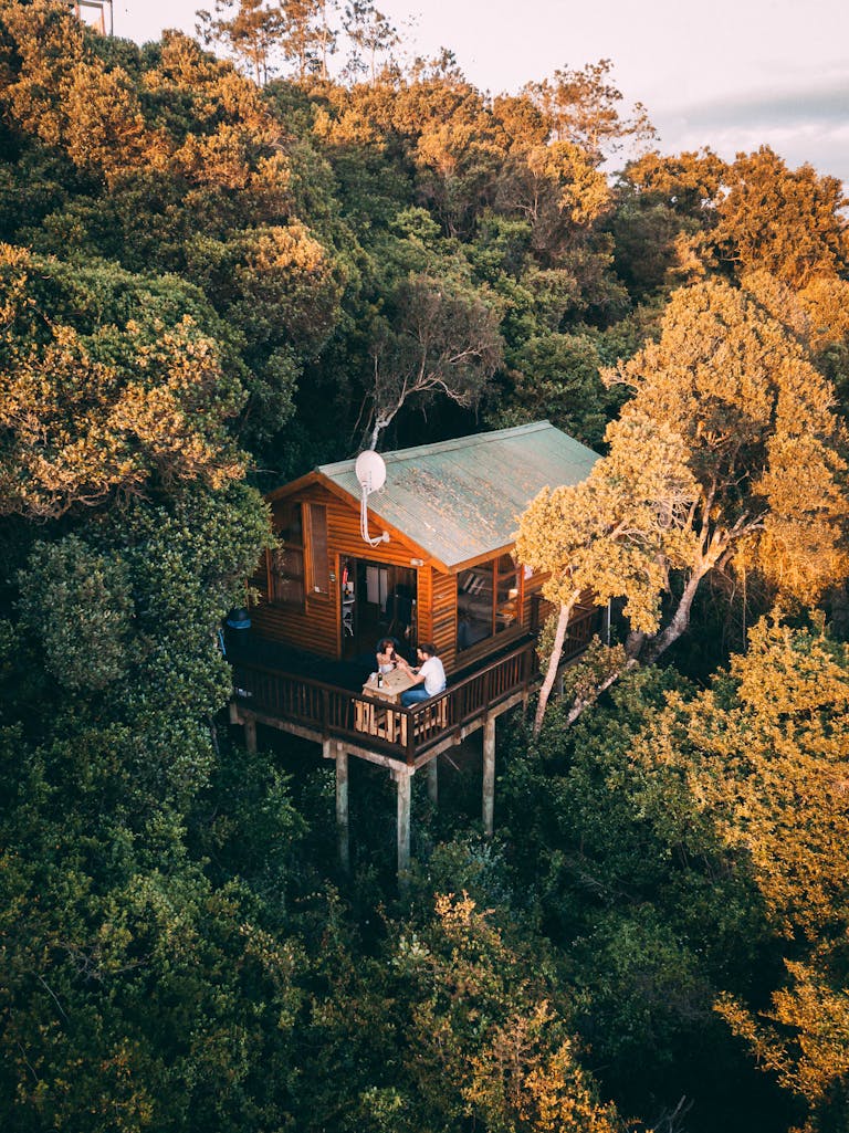 Aerial shot of a secluded treehouse nestled amidst lush woods in South Africa.