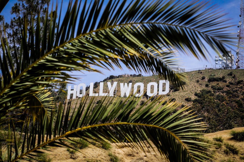 Famous Hollywood Sign framed by palm leaves on a sunny day in Los Angeles, California.