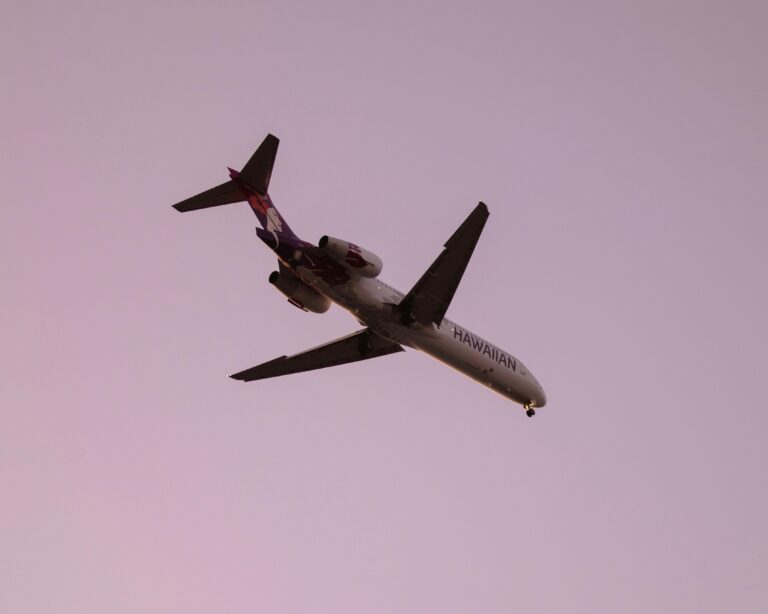 Severe Turbulence on Hawaiian Airlines Flight Blamed on Pilot Error