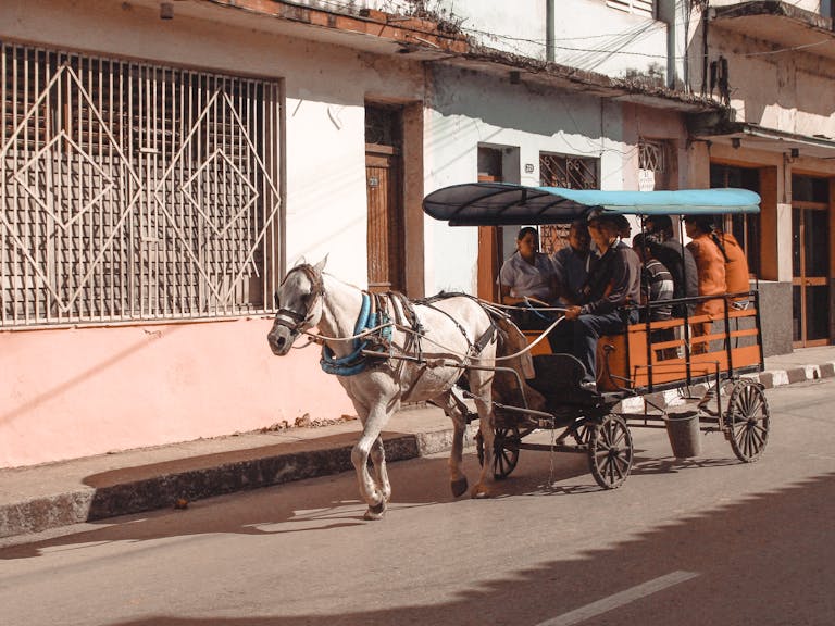 A horse-drawn carriage transporting passengers along an urban street under the sun.