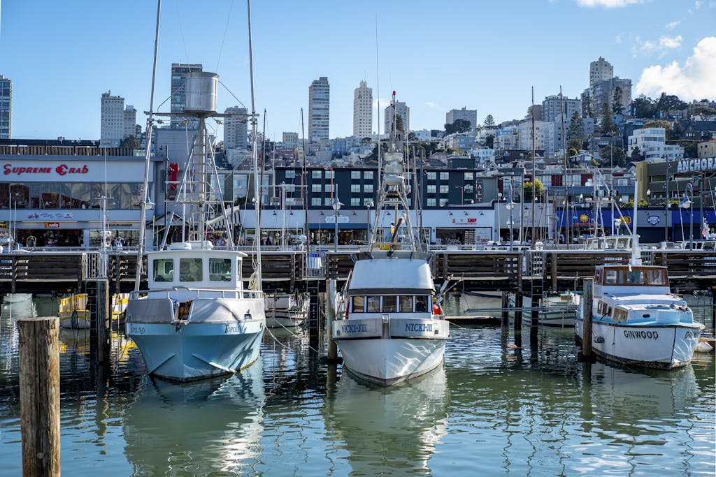 A vibrant marina with boats docked, against the city skyline of San Francisco.