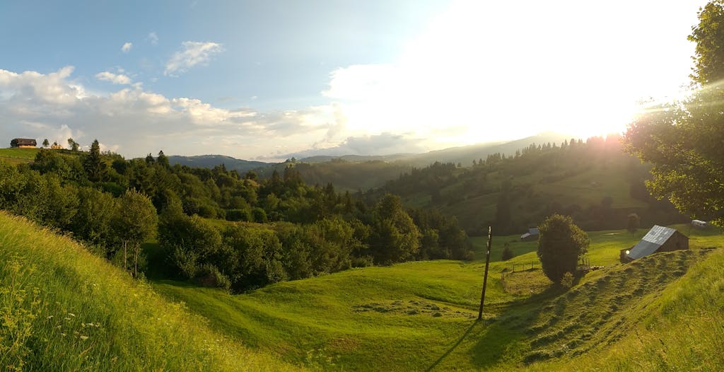 Beautiful green landscape in Maramureș, Romania with rolling hills and trees under a bright sky.