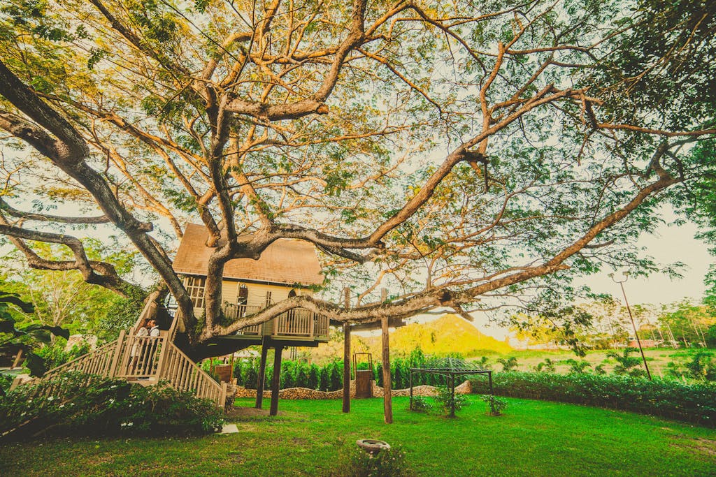 Beautiful treehouse nestled in a sprawling tree, set in lush Vega Baja landscape.