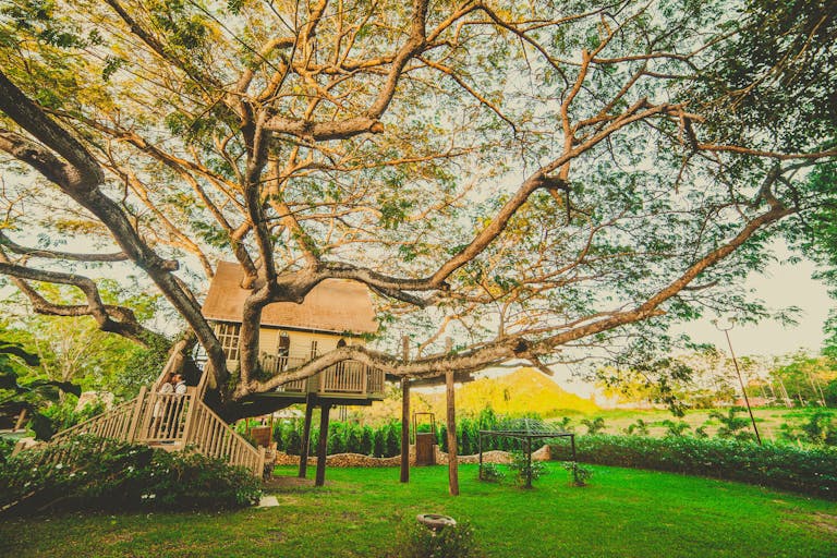 Beautiful treehouse nestled in a sprawling tree, set in lush Vega Baja landscape.