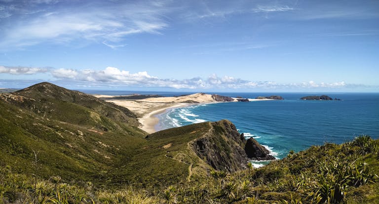 Breathtaking view of Cape Reinga showcasing the ocean, cliffs, and lush greenery in New Zealand.