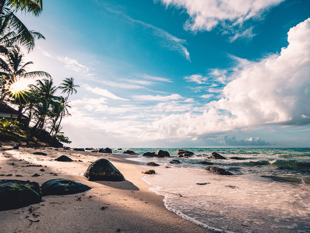 Experience the serene beauty of a tropical beach in RAAS, Nicaragua, with palm trees and ocean waves.