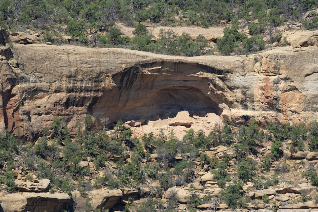 Explore the ancient cliff dwellings nestled in Mesa Verde's sandstone cliffs, rich with natural beauty.