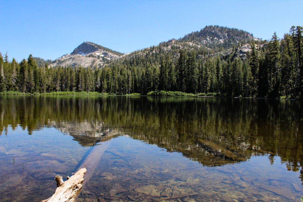 Serene mountain lake with clear reflections surrounded by evergreen forest under a bright blue sky.