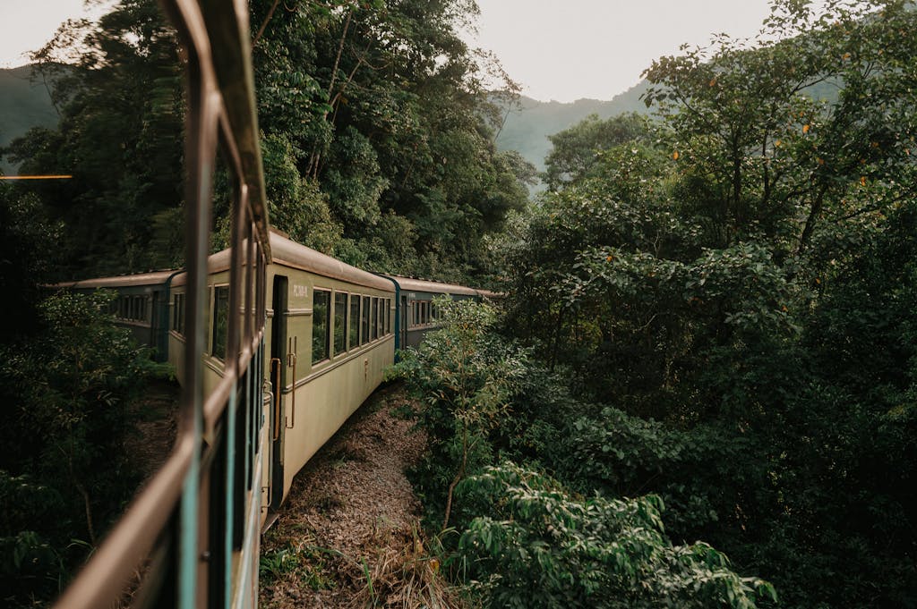 Train passing through dense forest offering a scenic view of lush greenery and mountains.