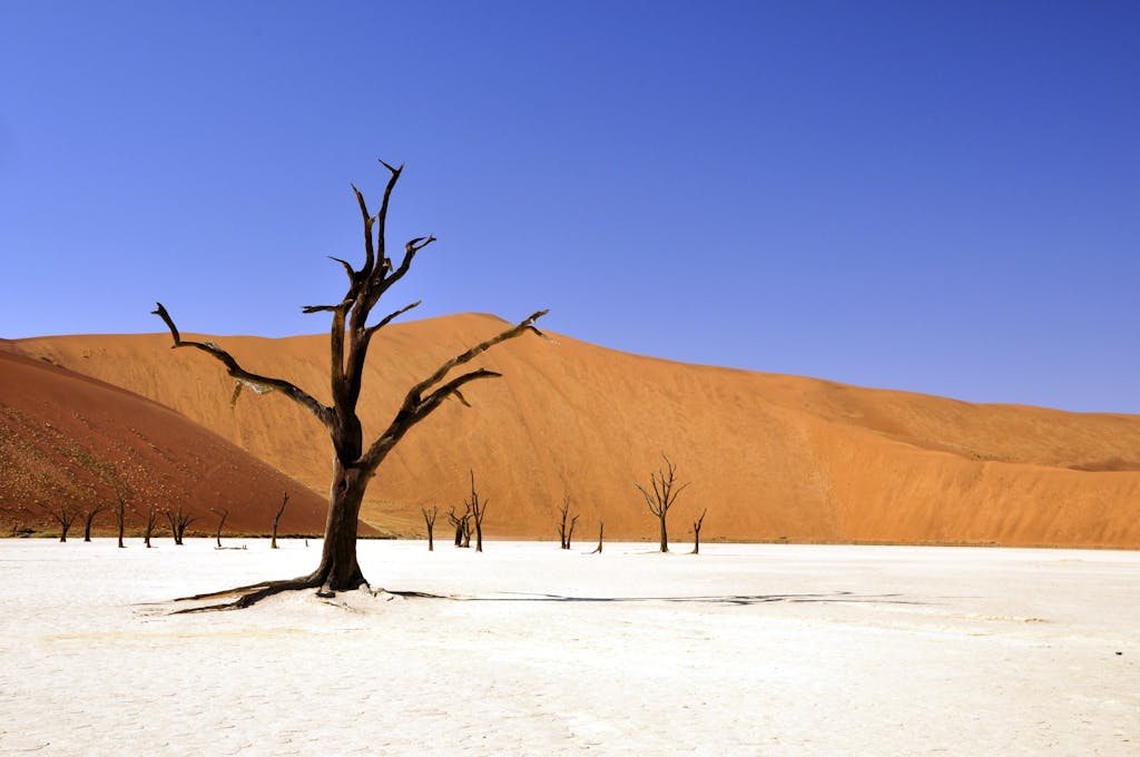 A dramatic scene of a barren desert, featuring a dried tree against sand dunes and a clear blue sky.