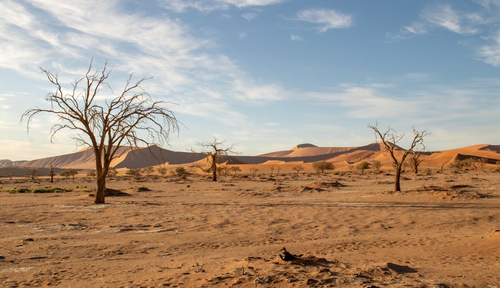 Explore the breathtaking barren landscape of Sesriem in Namibia, featuring striking dunes and arid terrain.