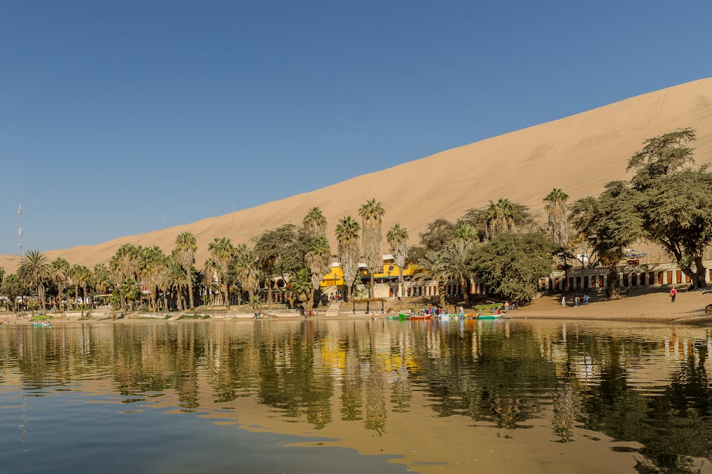 Stunning view of Huacachina oasis with lush palm trees and sand dunes under a clear sky.